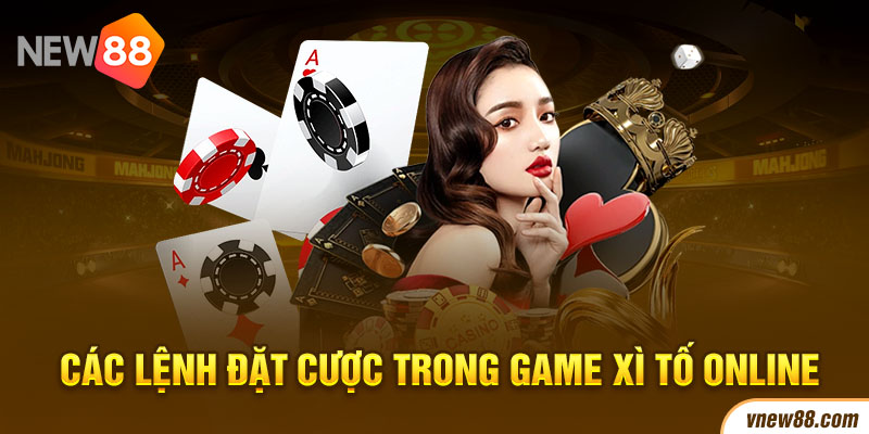 Các lệnh đặt cược trong game xì tố online