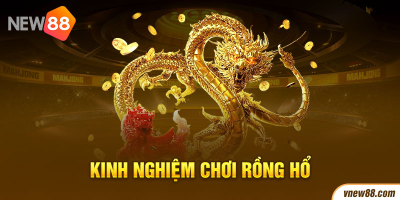 Top 5 kinh nghiệm chơi rồng hổ để luôn thắng