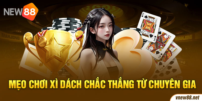 Mẹo chơi Xì Dách chắc thắng từ chuyên gia