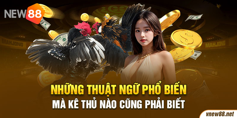 Những thuật ngữ phổ biến mà kê thủ nào cũng phải biết