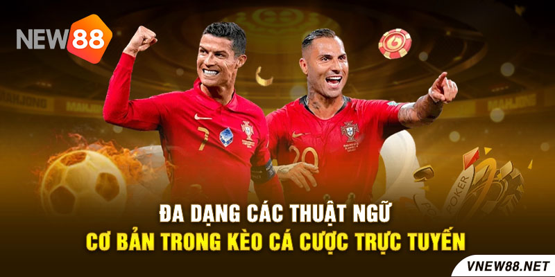 Đa dạng các thuật ngữ cơ bản trong kèo cá cược trực tuyến