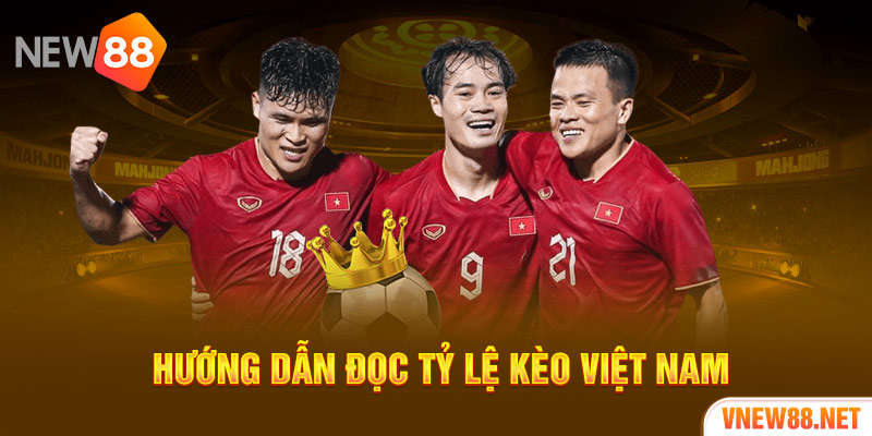 Hướng dẫn đọc tỷ lệ kèo Việt Nam